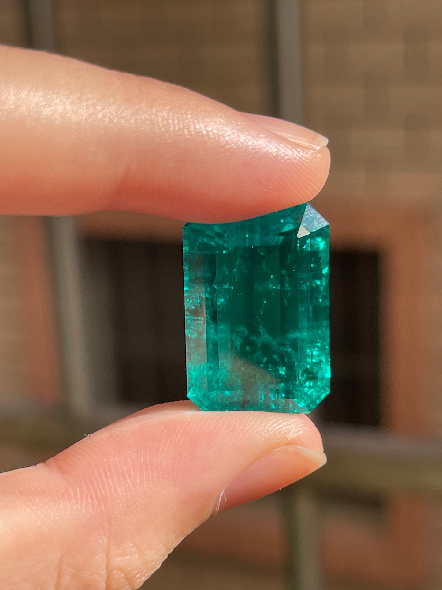 Pirmiana 26.77ct Emerald Cut Lab Grown Emerald