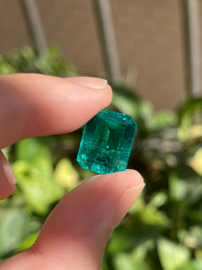 Pirmiana 9.32ct Emerald Cut Lab Grown Emeral
