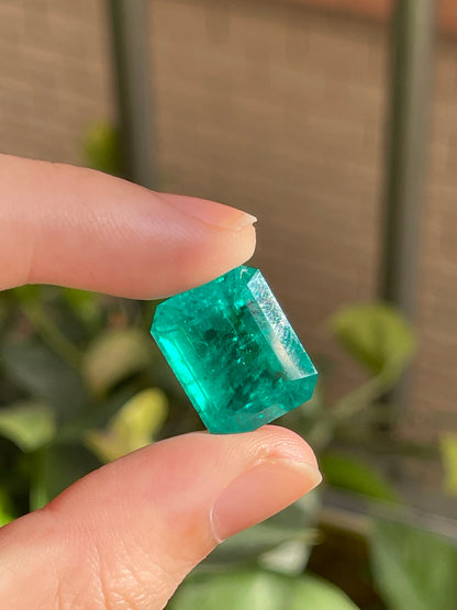 Pirmiana 15.86ct Emerald Cut Lab Grown Emerald