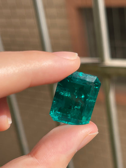 Pirmiana 29.08ct Emerald Cut Lab Grown Emerald