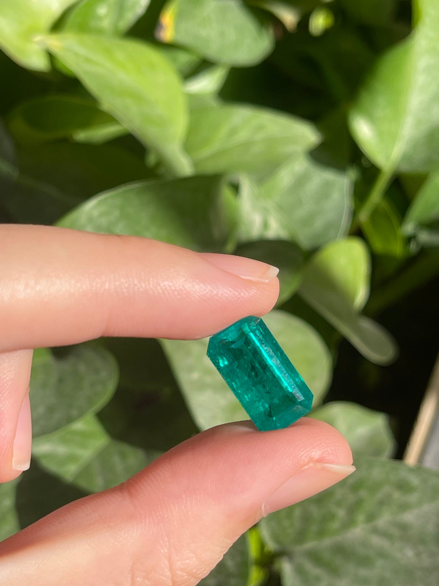 Pirmiana 6.96ct Emerald Cut Lab Grown Emerald