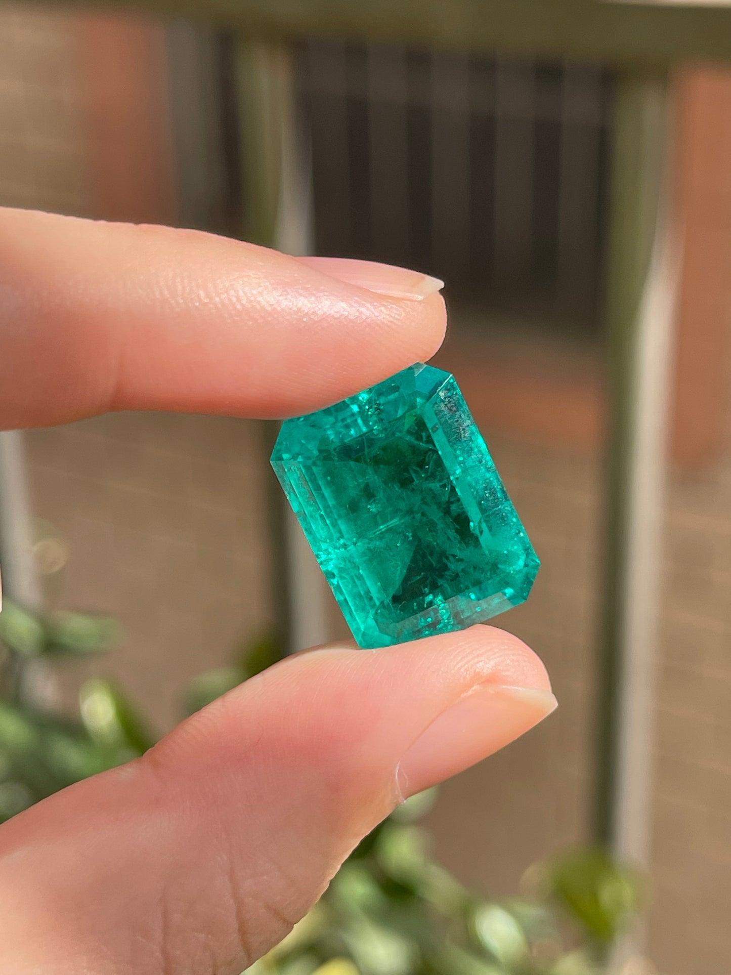 Pirmiana 18.45ct Emerald Cut Lab Grown Emerald