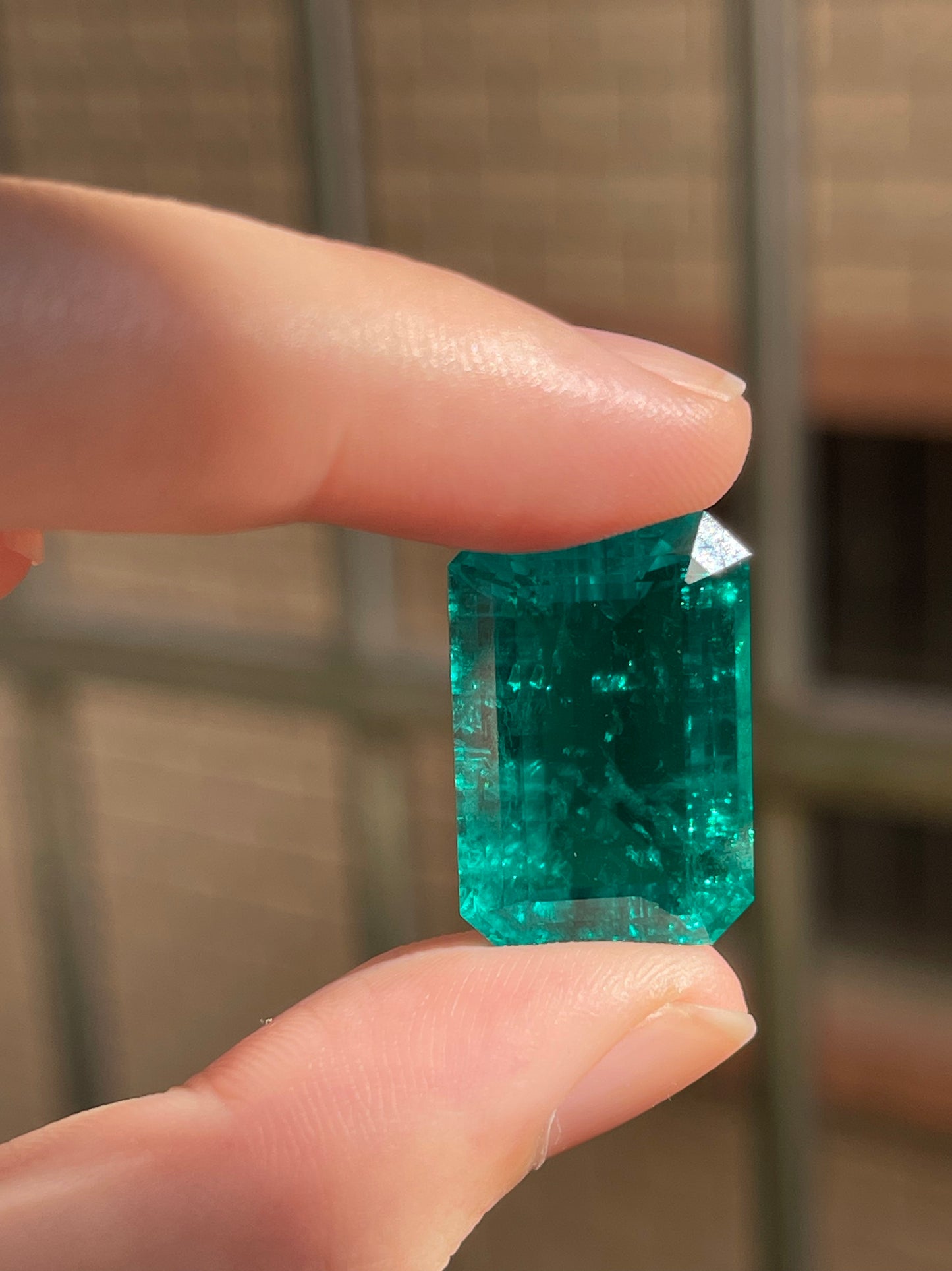 Pirmiana 26.77ct Emerald Cut Lab Grown Emerald