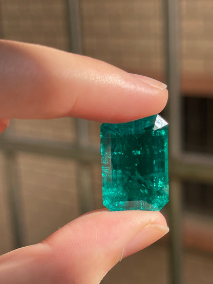 Pirmiana 26.77ct Emerald Cut Lab Grown Emerald
