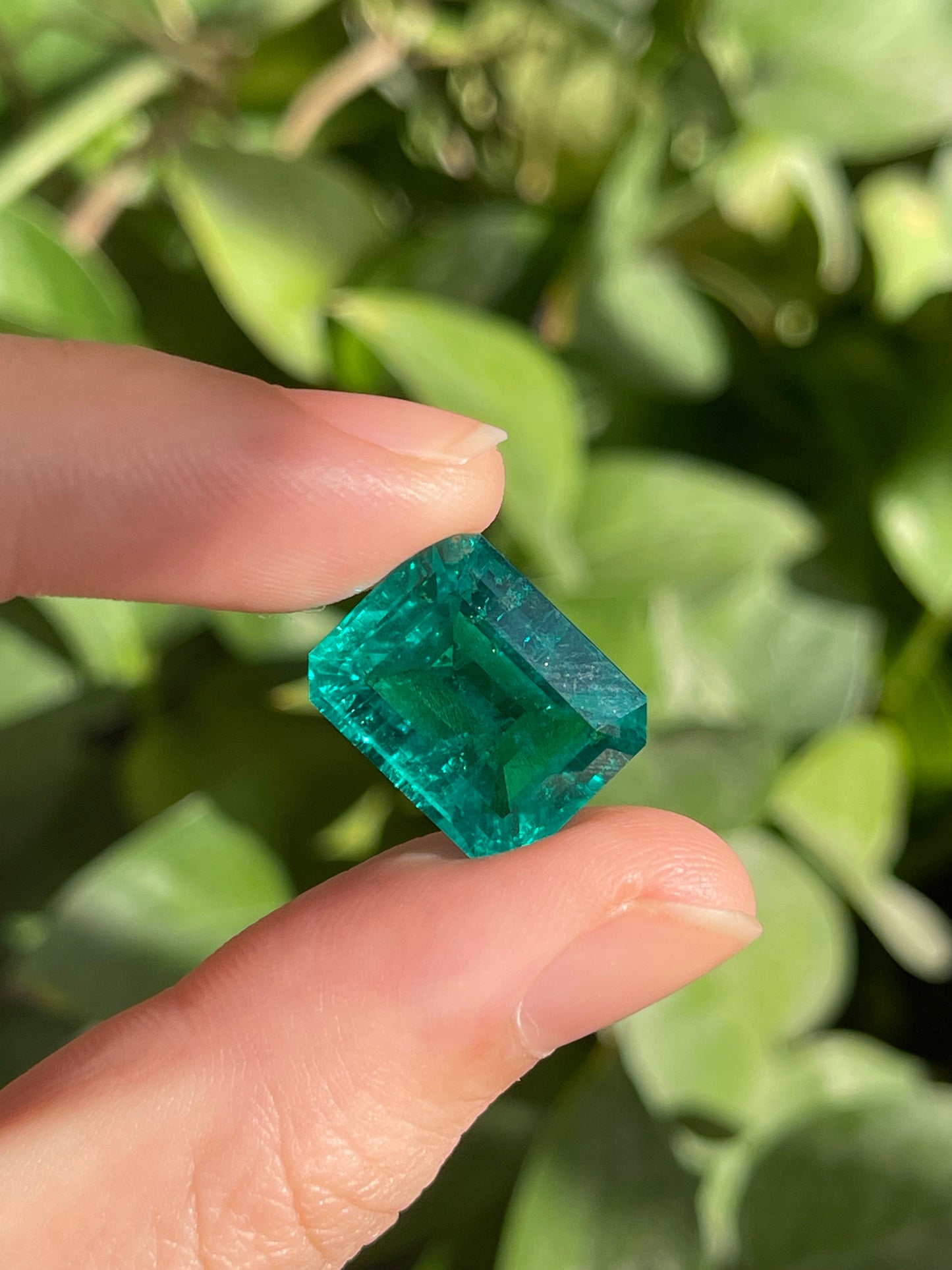Pirmiana 11.5ct Emerald Cut Lab Grown Emerald