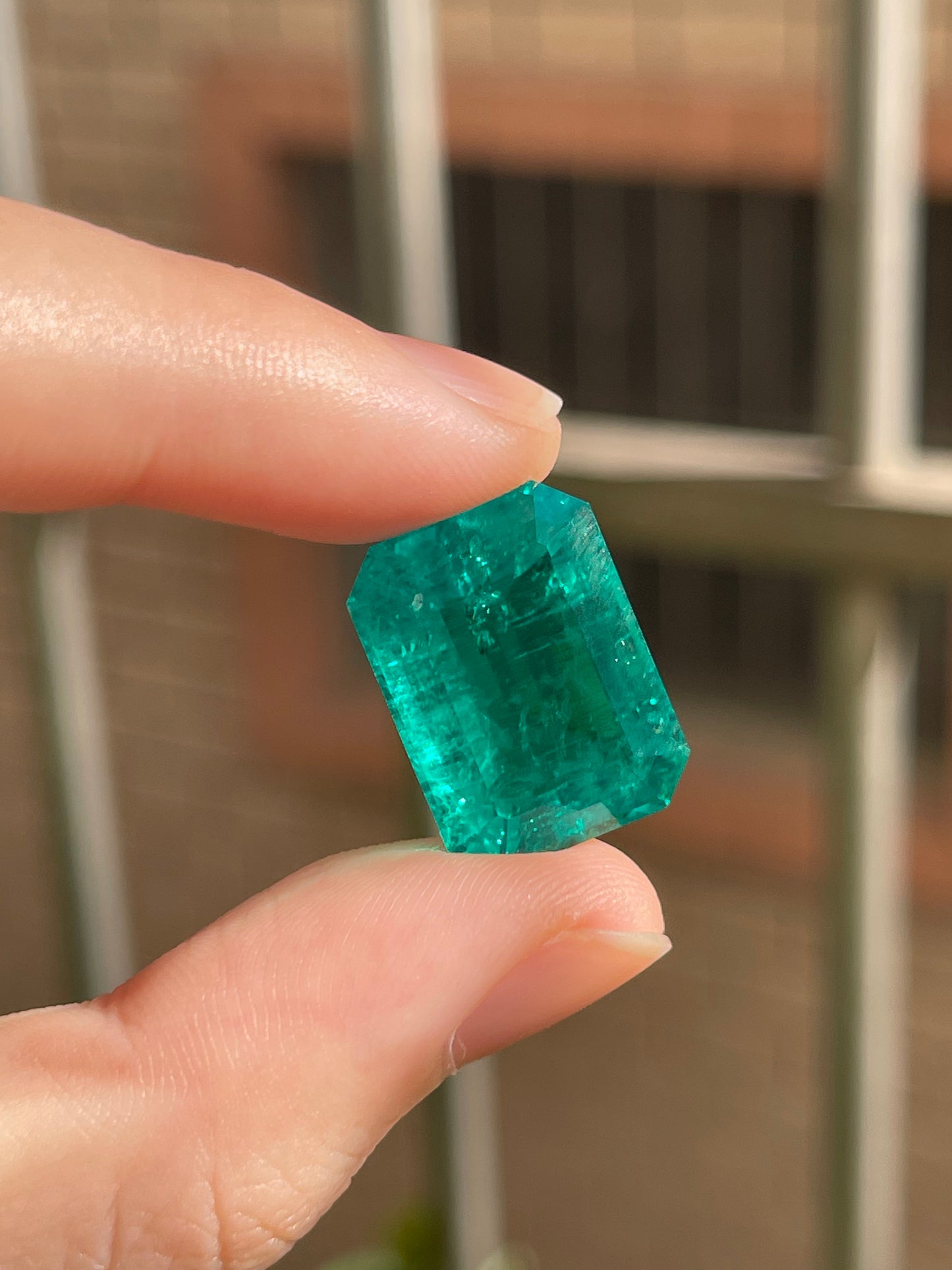 Pirmiana 18.76ct Emerald Cut Lab Grown Emerald