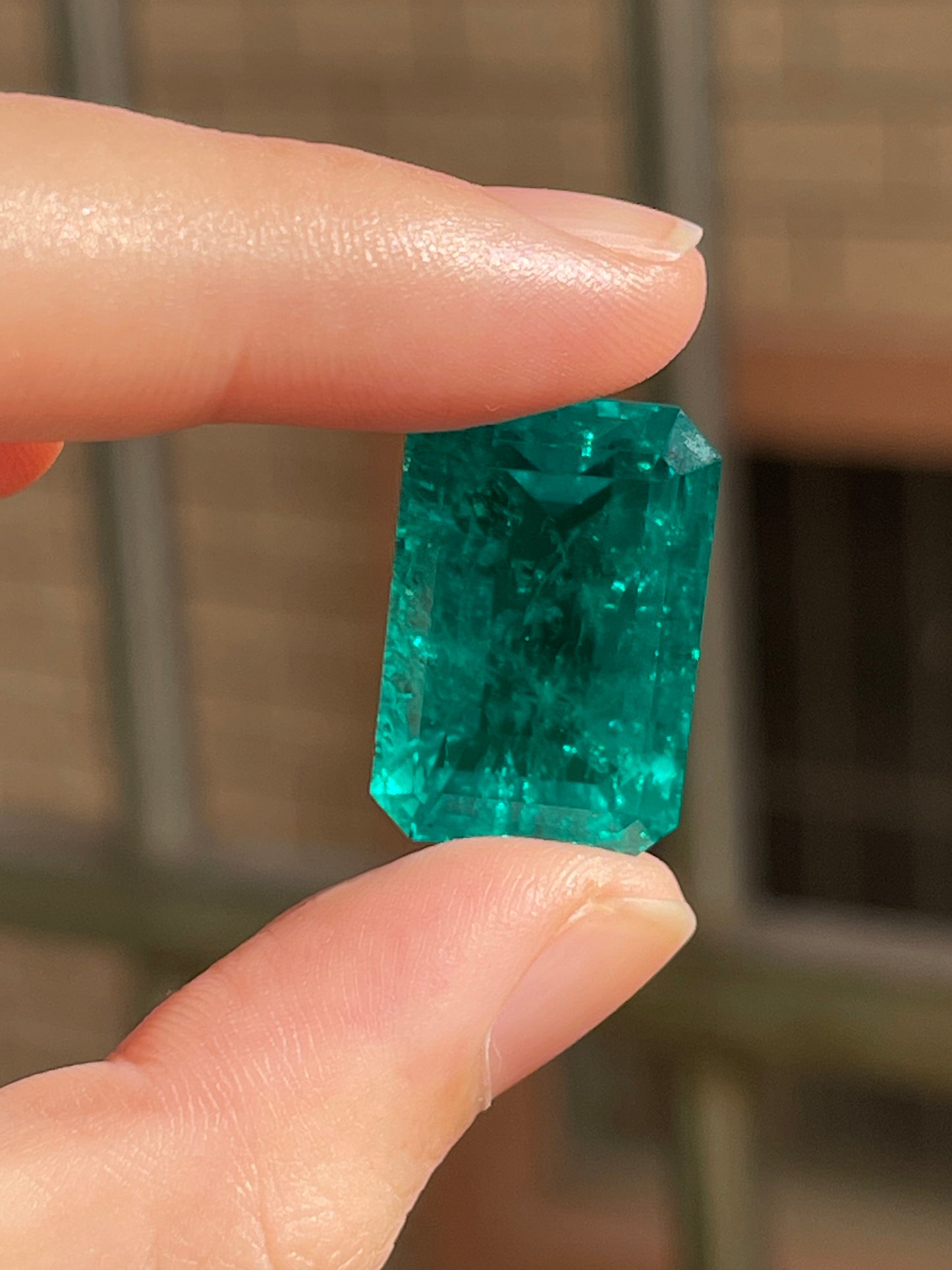 Pirmiana 26.64ct Emerald Cut Lab Grown Emerald