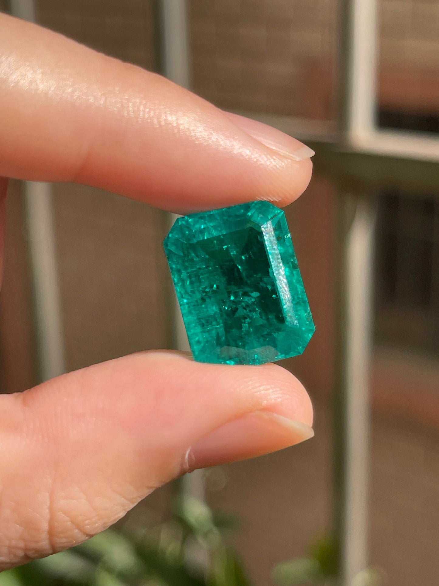 Pirmiana 14.12ct Emerald Cut Lab Grown Emerald
