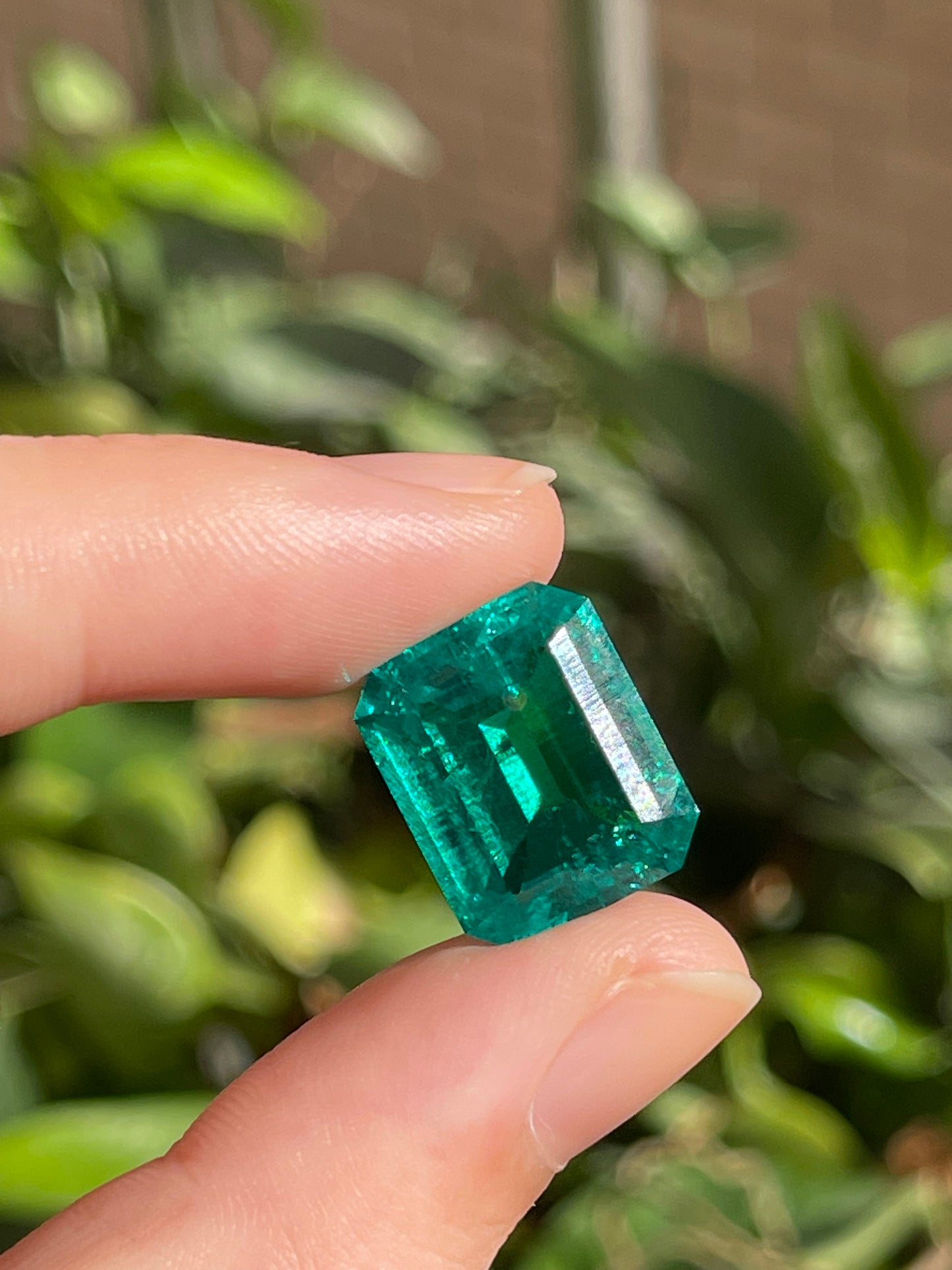 Pirmiana 11.73ct Emerald Cut Lab Grown Emerald