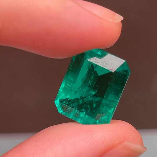 Pirmiana 9.32ct Emerald Cut Lab Grown Emeral