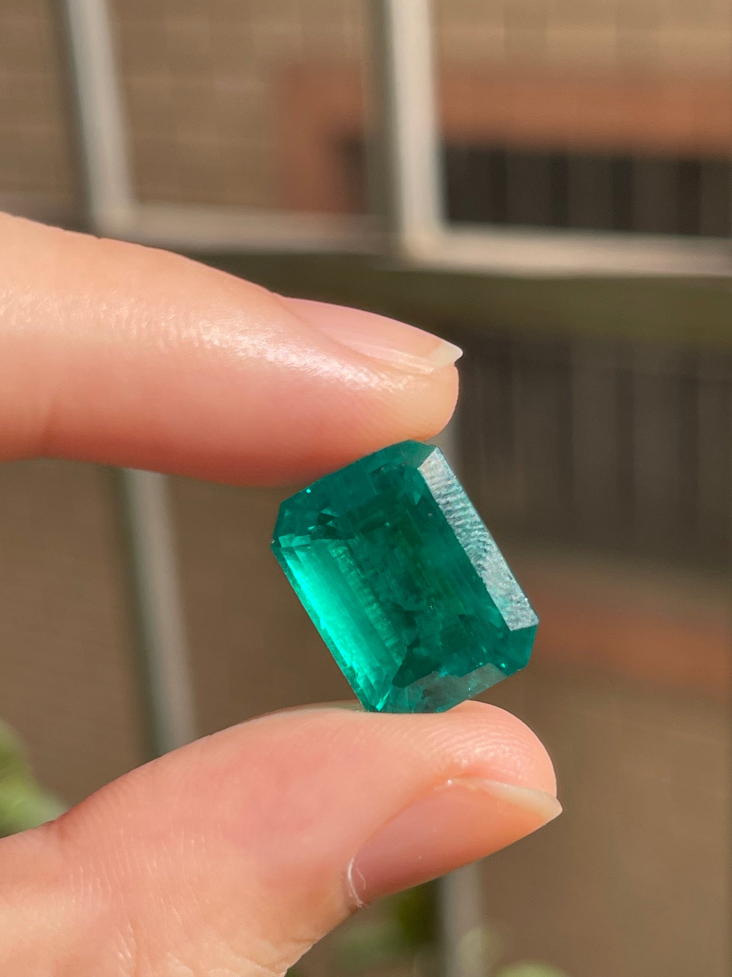 Pirmiana 11.72ct Emerald Cut Lab Grown Emerald
