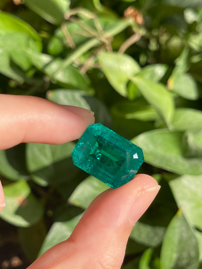 Pirmiana 18.76ct Emerald Cut Lab Grown Emerald