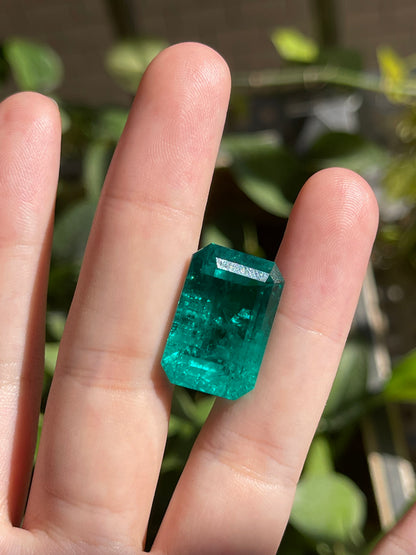 Pirmiana 23.53ct Emerald Cut Lab Grown Emerald