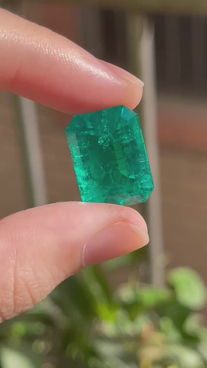 Pirmiana 18.76ct Emerald Cut Lab Grown Emerald