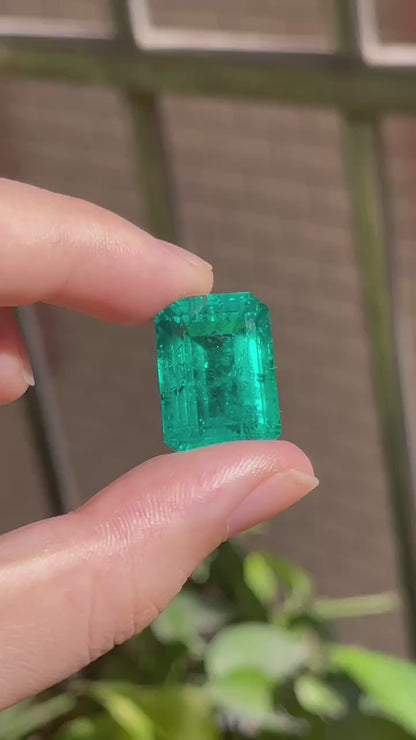Pirmiana 23.53ct Emerald Cut Lab Grown Emerald