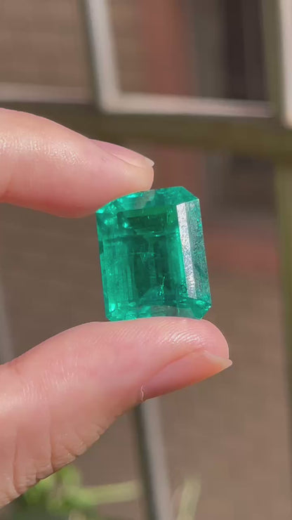 Pirmiana 22.14ct Emerald Cut Lab Grown Emerald
