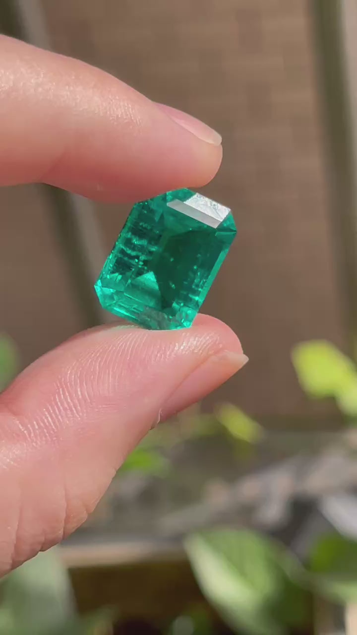 Pirmiana 11.19ct Emerald Cut Lab Grown Emerald – pirmiana