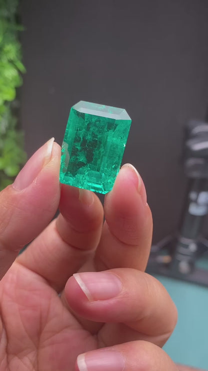 Pirmiana 29.83ct Emerald Cut Lab Grown Emerald